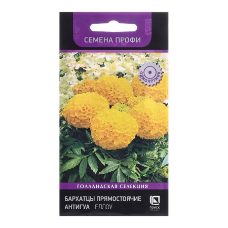 Flower seeds marigolds erect "Antigua Ello", 15pcs
