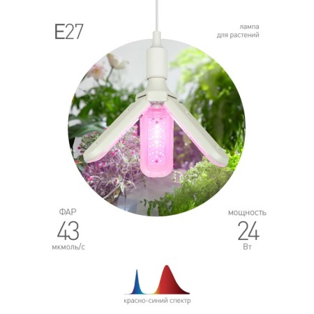 Phytolamps for plants LED era Fito-24W-RB-E27-Fold 3-ht of red-blue spectrum 2-1