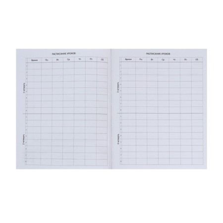 Universal diary for grade 1-11 Favorite, soft cover, button, artificial leather, foil embossing, refrain, lies, 48 ​​sheets-4