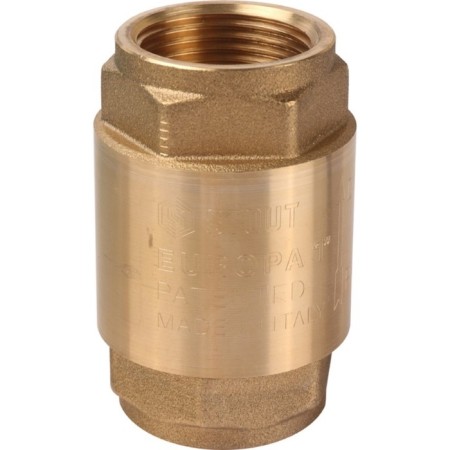 Reverse valve Stout SVC-0011-000025, 1 ", spring, coupling, with a metal saddle