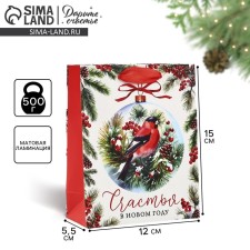 Package Gift New Year Laminated 