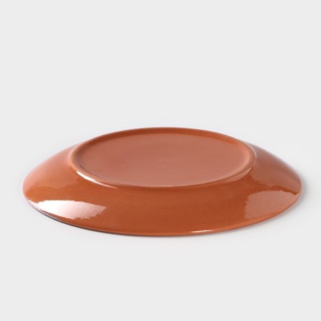 Plate Colorlife, D = 21 cm, h = 2.6 cm, lilac color-2
