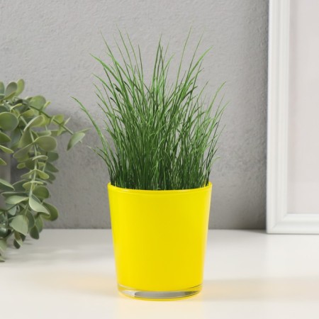 Set for growing plants "grow grass" yellow-2