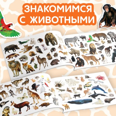 100 stickers "Animals from all over the world", 12 p.-2