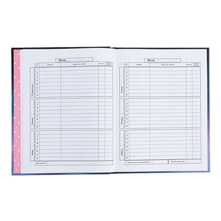 Diary Artificial leather grade 1-11, 48 sheets, cage, integral cover "cat", covered cardboard, matte lamination, selective UV-lame, universal cheat sheet, block 65 g/m2-7