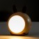 Night "Bunny" LED 2W mix 8x9x12 cm Risalux