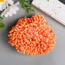 Stamens for flowers 
