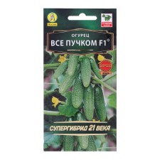 Cucumber seeds 