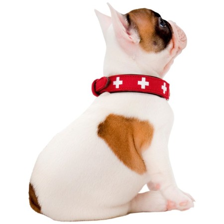 Leather collar for dogs Hunter Swiss 60, 47-54 cm, red/black-1