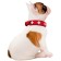 Leather collar for dogs Hunter Swiss 60, 47-54 cm, red/black