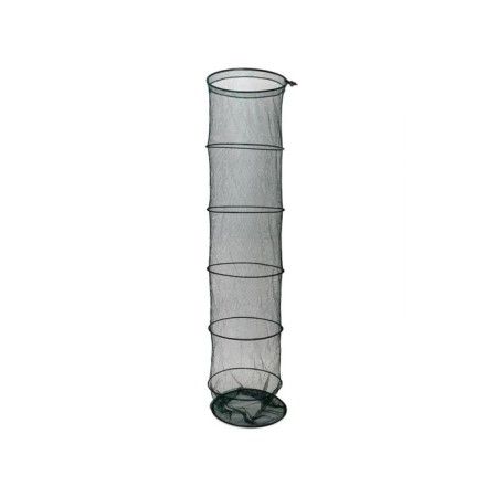SALMO SALMO 250x55x55cm-1