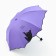 Mechanical umbrella with a figure edge "Rain AGain"