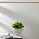 Street Kashpo with a basic watering “Mirabel”, 2.5 l, white color, suspension as a gift