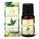Aromamaed green tea 10 ml