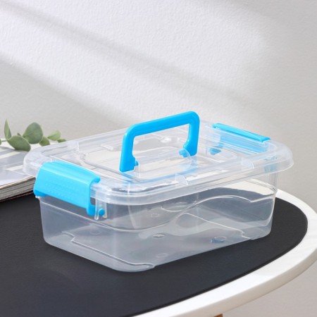 The storage container is plastic, a cover with a handle on a latch 19 × 15 × 6.8 cm, color mix-1
