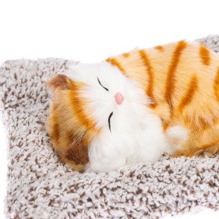 A toy on a car panel, a cat on a pillow, a white-red color-1