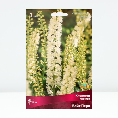 Klopogon Simple White Pearl, Rr. I, 1 pc, Spring 2025