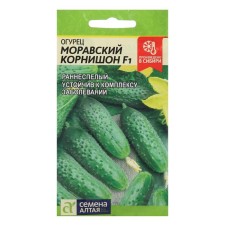 Seeds of the cucumber 