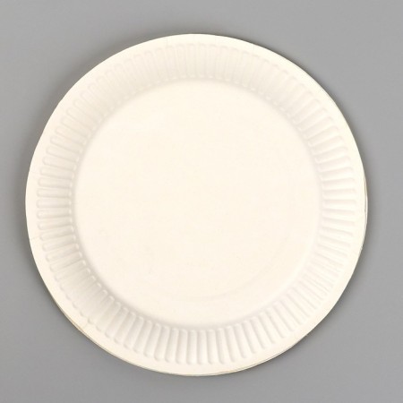 Disposable paper plate "Happy Birthday" Candles and Girland (18 cm)-4