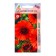 Seeds of Gaillardia Austy Tokai 0.1 g*