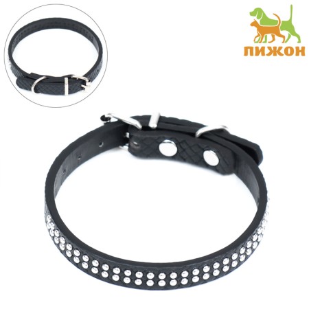 The collar of riveted with 2 rows of rivets, 33 x 1.2 cm, Osh 23-29, black