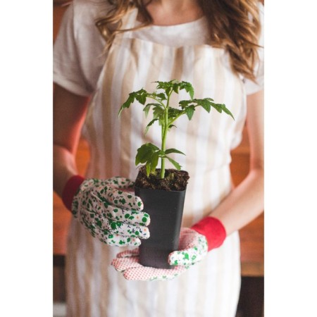 Pot for seedlings, 600 ml, D = 8.5 cm, h = 15 cm, mix, Greengo-6