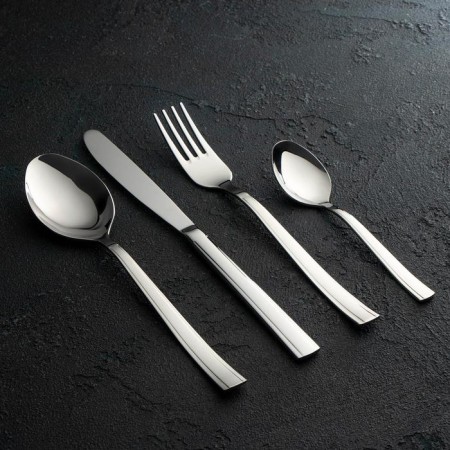 Set of dining room "Triumph", 24 items, thickness 2 mm, souvenir box, silver color
