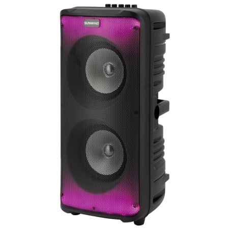 Sunwind SW-MS30 Black 60W FM USB BT SD/MMC-1