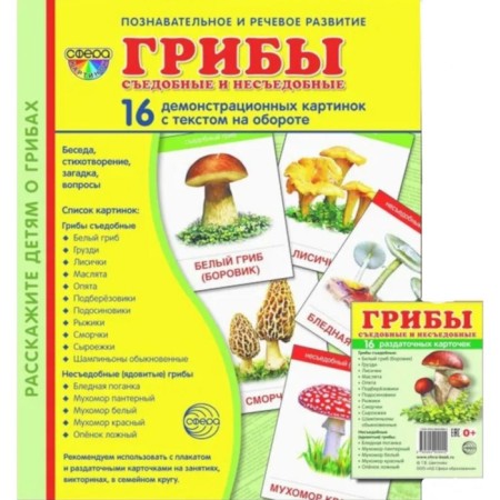 Mushrooms are edible and inedible. Set of 32 cards, 2 formats