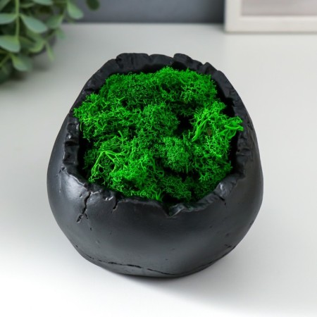 Kashpo concrete "skull" height 10 cm black with moss (moss green stabilized)-1