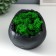 Kashpo concrete "skull" height 10 cm black with moss (moss green stabilized)