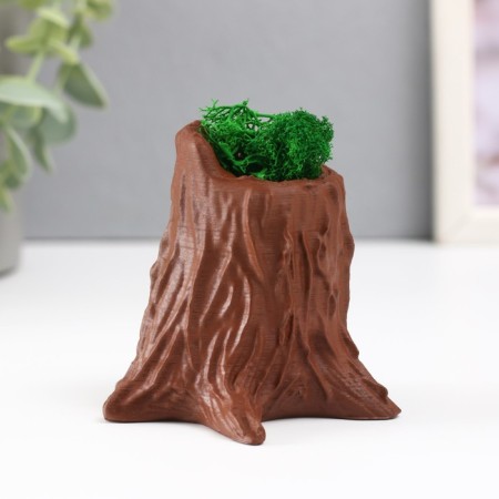 Concrete Kashpo "stump" 7.5x8.5x7 cm dark brown with moss (moss stabilized)-3