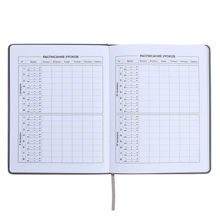 Universal Grade 1-11 Diary, 48 JIUCY sheets, firm artificial leather cover, foil embossing, pancake embossing, rhinestones, liesse-8