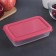 Food container "Light", 450 ml, color mix