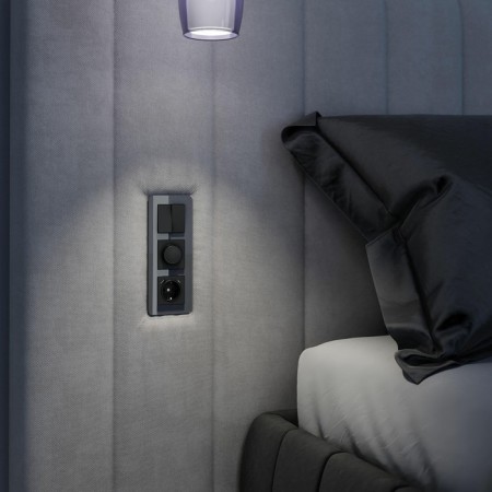 Frame W0032440, 3 Elite sockets, graphite, glass-2