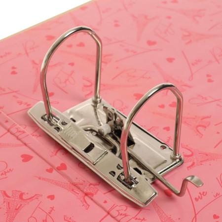 A4 75 mm registrar, Devente Emily in Paris, collapsible, metal edging-4