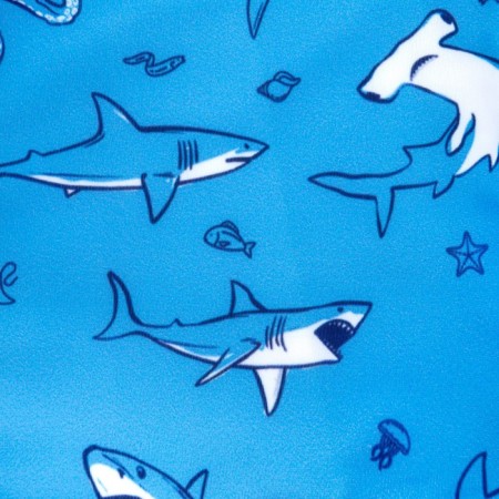 Bathing swimming trunks for the boy KAFTAN “Underwater World” Growth 86-92 (28), Blue color-2