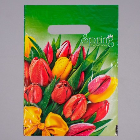 Spring package, polyethylene with a cut pen, 20 x 30 cm, 30 μm