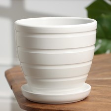 Flower Pot 