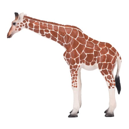 Figure Konik "Giraffe, female"-1