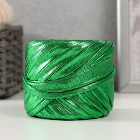 Knitted yarn metallic "disco" 100g (green)