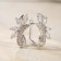 Earrings with rhinestones "zirconium" checkmark, white color in silver