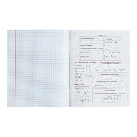 Subject notebook Calligrata Top "School style", 48 sheets in the algebra cage, reference material, plastic cover, offset unit-4