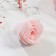 Soap petals "Multi -colored roses" set of 15 pcs 5x16x13.6 cm