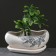 Flower pot "Bonsai 2/waves" pattern 0.8l