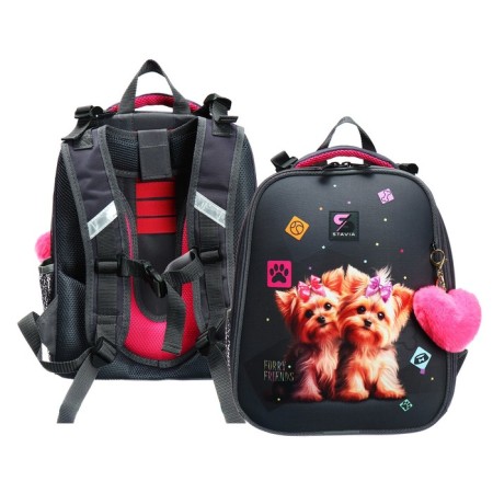 School backpack 38 x 30 x 16 cm, ergonomic back, stavia "york", gray