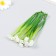 Decor for creativity "Erantis" set 10 pcs white 14.5 cm