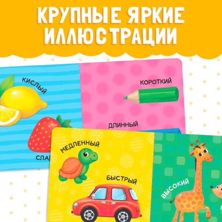 Cardboard book "Big and Small", 10 p.-3