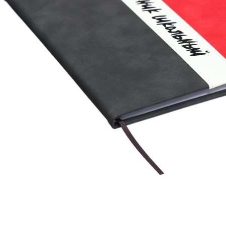 Universal diary for grades 1-11 "strip", solid cover of artificial leather, silkography, lies, 48 ​​sheets, graphite+red-2