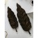 Set of Organizovov "Sheet No. 5", Polystone, 2 pcs, color copper
